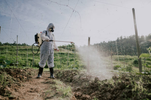 Best Pest Removal Services  in Lyons, WI