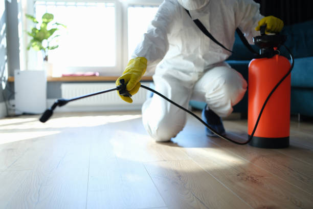 Best Flea Control Services  in Lyons, WI