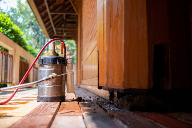 Best Local Pest Control Services  in Lyons, WI