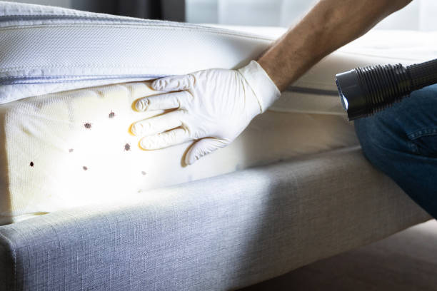 Best Best Pest Control Companies  in Lyons, WI