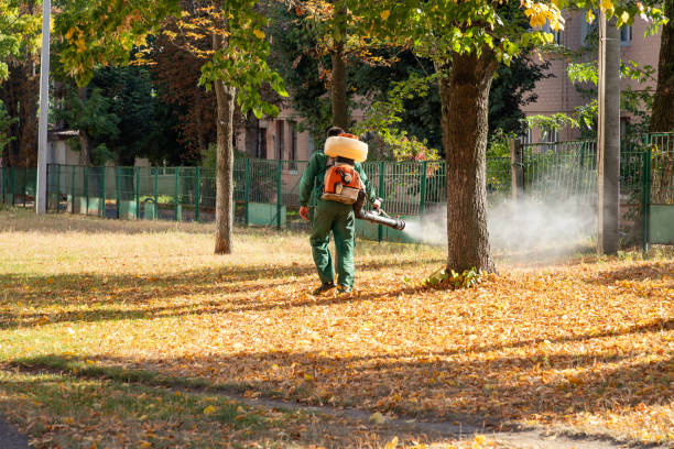 Best Mosquito Control Services  in Lyons, WI