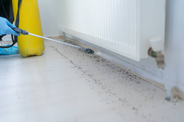 Pest Prevention Services in Lyons, WI