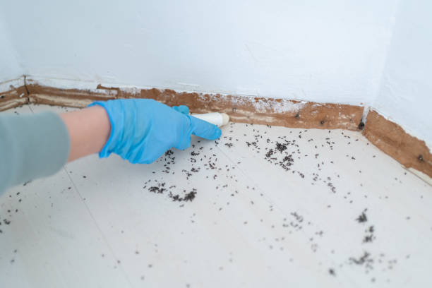 Pest Control Cost in Lyons, WI