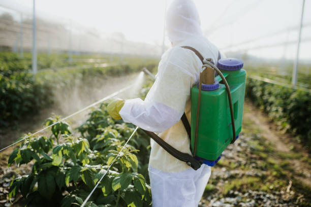 Best Pest Removal Services  in Lyons, WI
